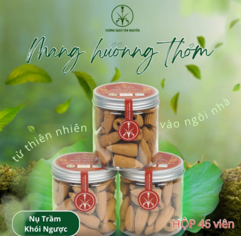 Combo Nụ Trầm Hương Cao Cấp- Lư Gỗ- Hộp Gỗ- Nụ Trầm Chất Lượng